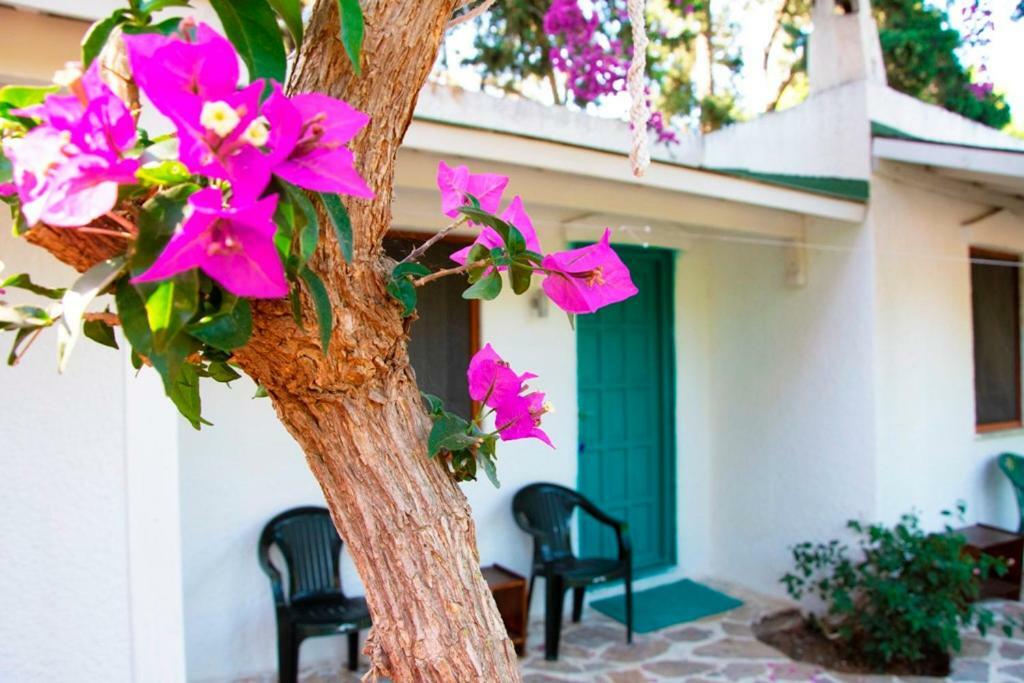 myndos bed&breakfast Bodrum Exterior foto